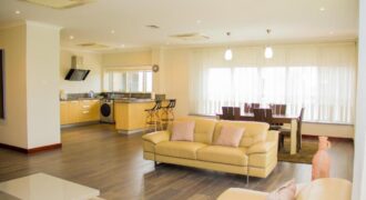 FURNISHED APARTMENT FOR RENT IN AIRPORT RESIDENTIAL AREA