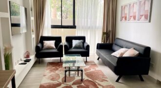1 BEDROOM APARTMENT FOR RENT IN CANTONMENTS, ACCRA