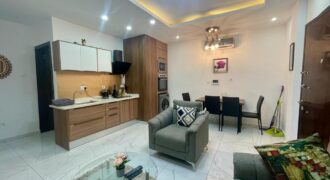FURNISHED 2 BED APARTMENT FOR RENT IN ADJIRINGANOR