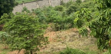 2 Acres of land for sale at Mlichakpo Ghana